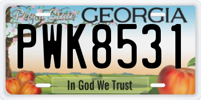 GA license plate PWK8531