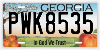 GA license plate PWK8535