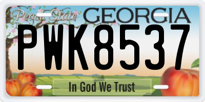 GA license plate PWK8537