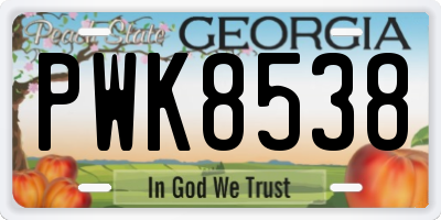 GA license plate PWK8538