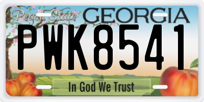 GA license plate PWK8541