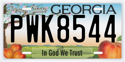 GA license plate PWK8544