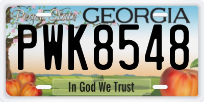 GA license plate PWK8548