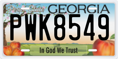 GA license plate PWK8549