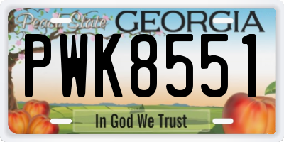 GA license plate PWK8551