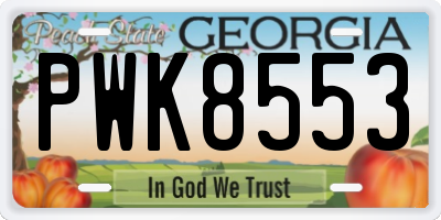GA license plate PWK8553