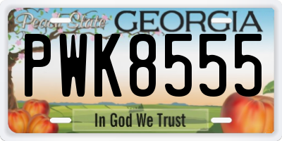 GA license plate PWK8555