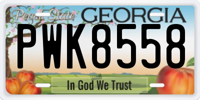 GA license plate PWK8558