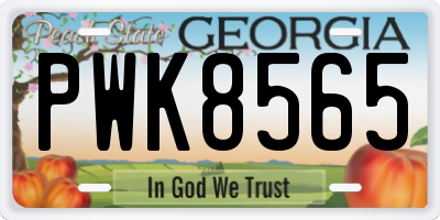 GA license plate PWK8565