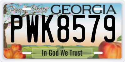 GA license plate PWK8579