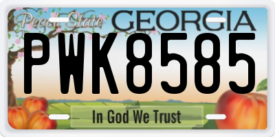 GA license plate PWK8585