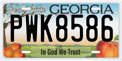 GA license plate PWK8586
