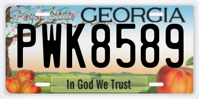 GA license plate PWK8589