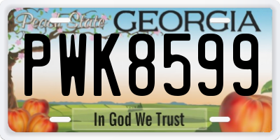 GA license plate PWK8599