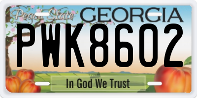 GA license plate PWK8602