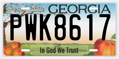 GA license plate PWK8617