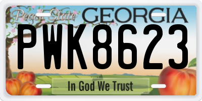 GA license plate PWK8623