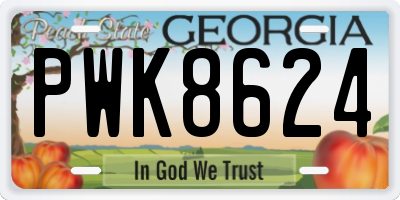 GA license plate PWK8624