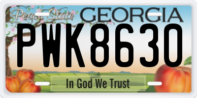 GA license plate PWK8630