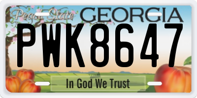 GA license plate PWK8647