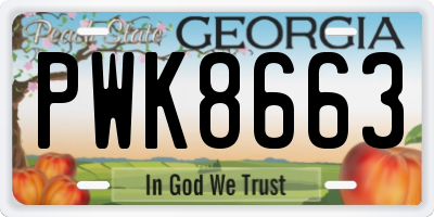 GA license plate PWK8663