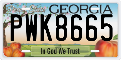 GA license plate PWK8665