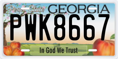 GA license plate PWK8667
