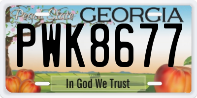 GA license plate PWK8677