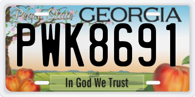 GA license plate PWK8691