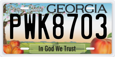 GA license plate PWK8703