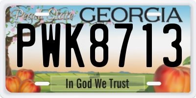 GA license plate PWK8713