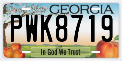 GA license plate PWK8719