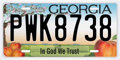 GA license plate PWK8738