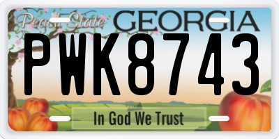 GA license plate PWK8743