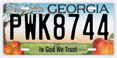 GA license plate PWK8744