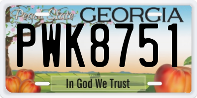 GA license plate PWK8751