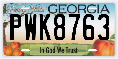 GA license plate PWK8763