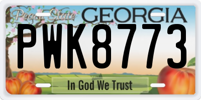 GA license plate PWK8773