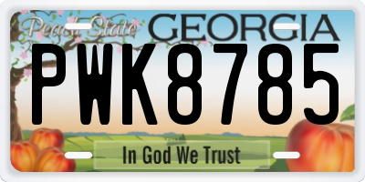 GA license plate PWK8785