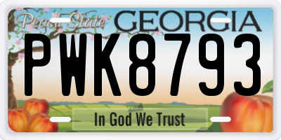 GA license plate PWK8793