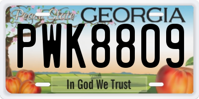 GA license plate PWK8809