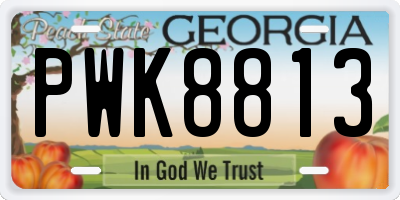 GA license plate PWK8813