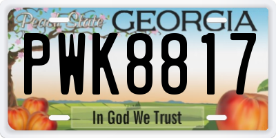 GA license plate PWK8817