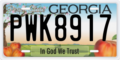 GA license plate PWK8917