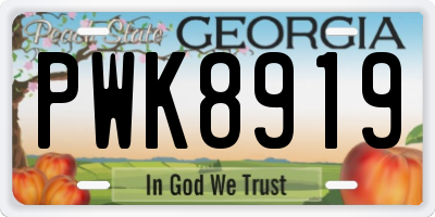 GA license plate PWK8919