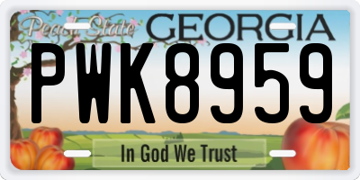 GA license plate PWK8959