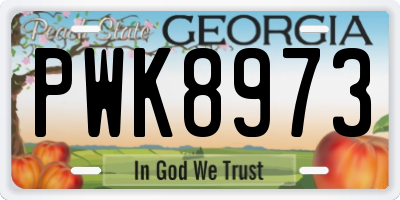 GA license plate PWK8973