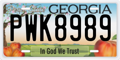 GA license plate PWK8989