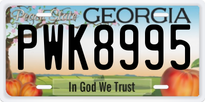 GA license plate PWK8995