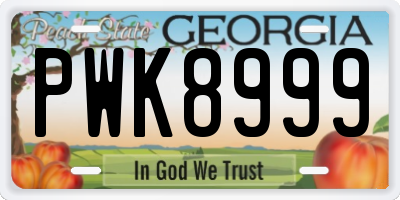 GA license plate PWK8999